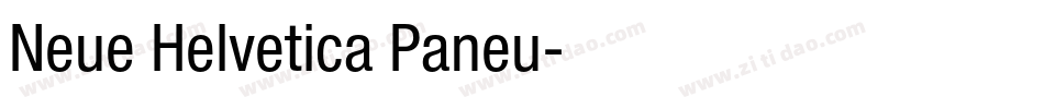 Neue Helvetica Paneu字体转换 Neue Helvetica Paneu字体转换